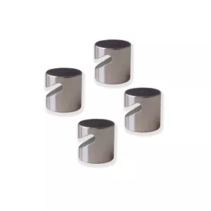 Board magnet Franken HMN16 Neodymium Silver 16mm