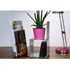 Bookend MAUL 3506590 Photo 10