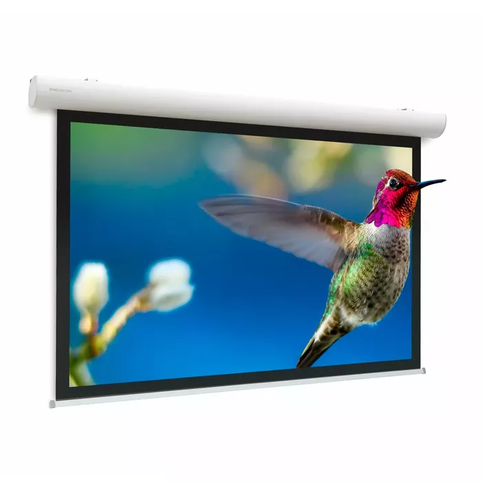 Projection Screens