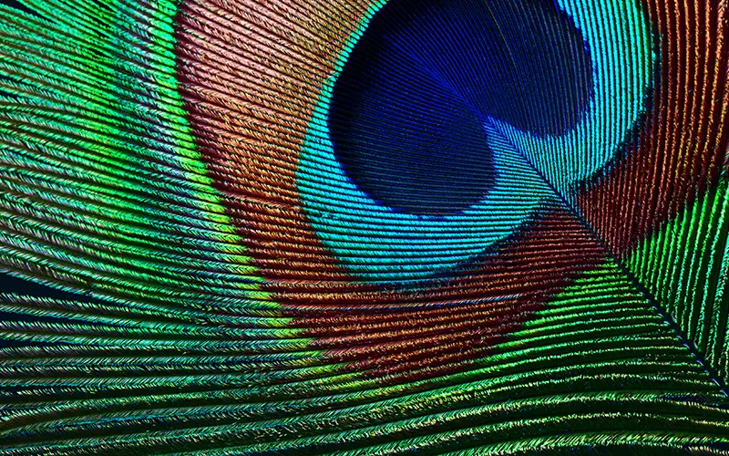 Epson EH-TW7000 4K projektors Photo 8