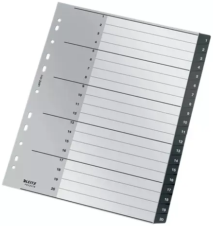 Blank tab index Leitz 12110000 Photo 2