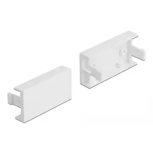 Cover Plate Module DeLOCK Easy 45 81301