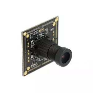 Hidden Camera DeLOCK 96397 Black