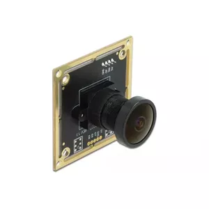 Hidden Camera DeLOCK 96389 Black
