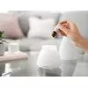 Ультразвуковой аромадиффузор Soehnle 68111 Photo 4