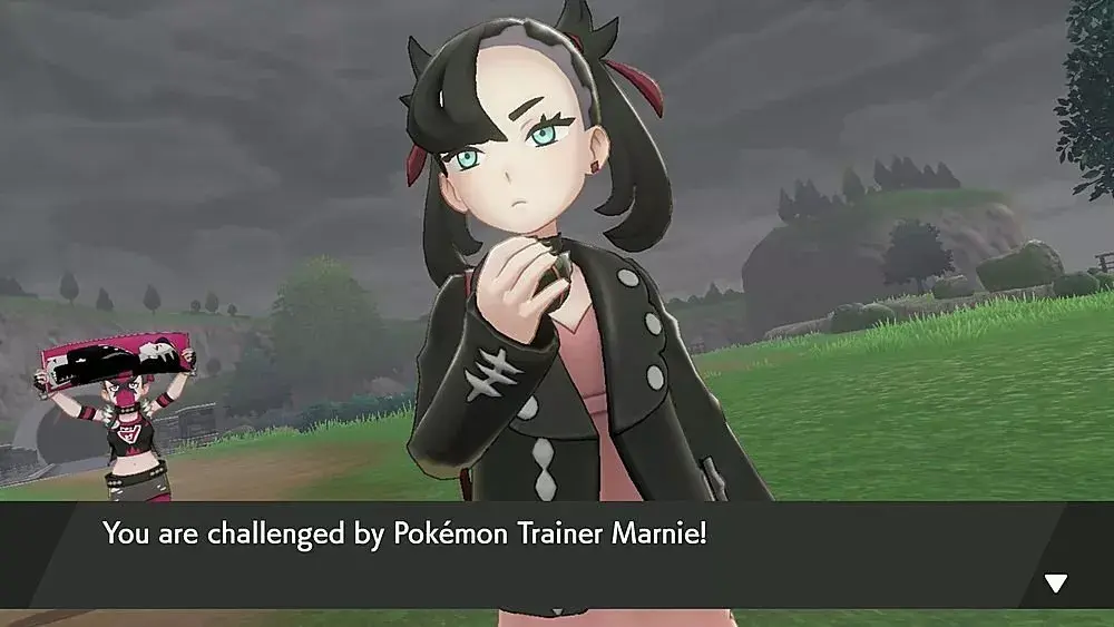 Игра Nintendo Pokemon Sword Photo 14