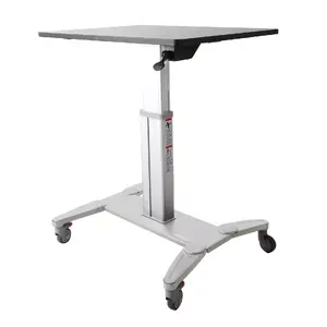 Mobile Standing Desk StarTech STSCART