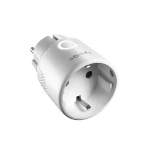 Indoor IO On/Off socket Type F by Somfy, model 1822618, 230 V, white, Tahoma compatible