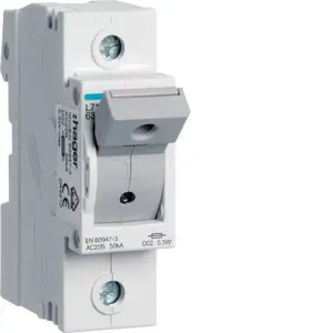 Предохранительный разъединитель Hager L71M D02 63A 1P