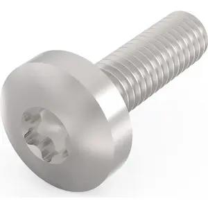 Screw SCHROFF M4x10 mm Steel, model 24560130, pack VE100