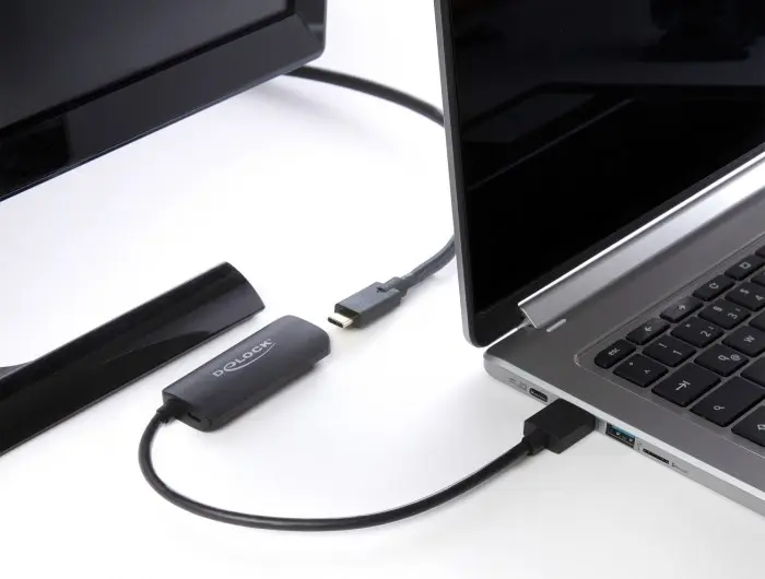Адаптер HDMI-A male на USB Type-C female DeLOCK 63251 Photo 6