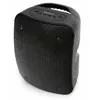 Portable Speaker Platinet PMG250, 45229 Photo 2