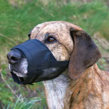 Trixie 19261 muzzle for dogs and cats, size S Photo 2