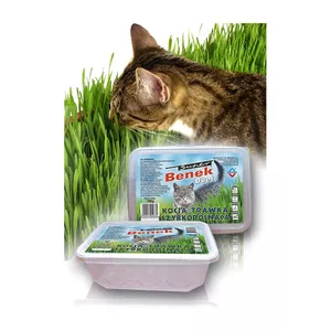 Certech 10319 семя травы для домашних животных Кошка