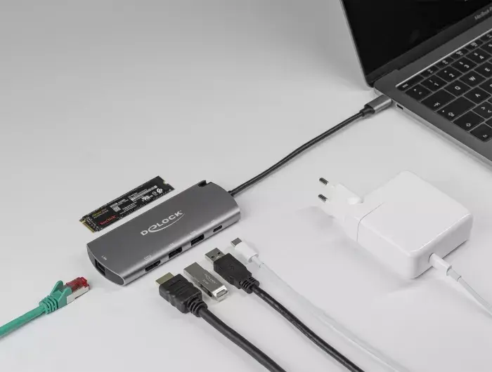 Doku stacija DeLOCK USB Type-C Doku stacija ar M.2 slotu Photo 3