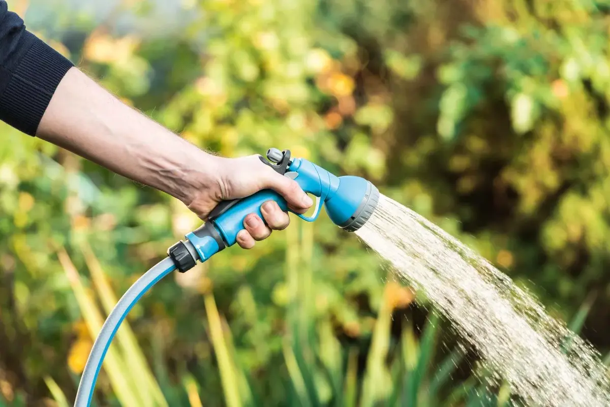 Hand sprinkler Cellfast SHOWER IDEAL Photo 2