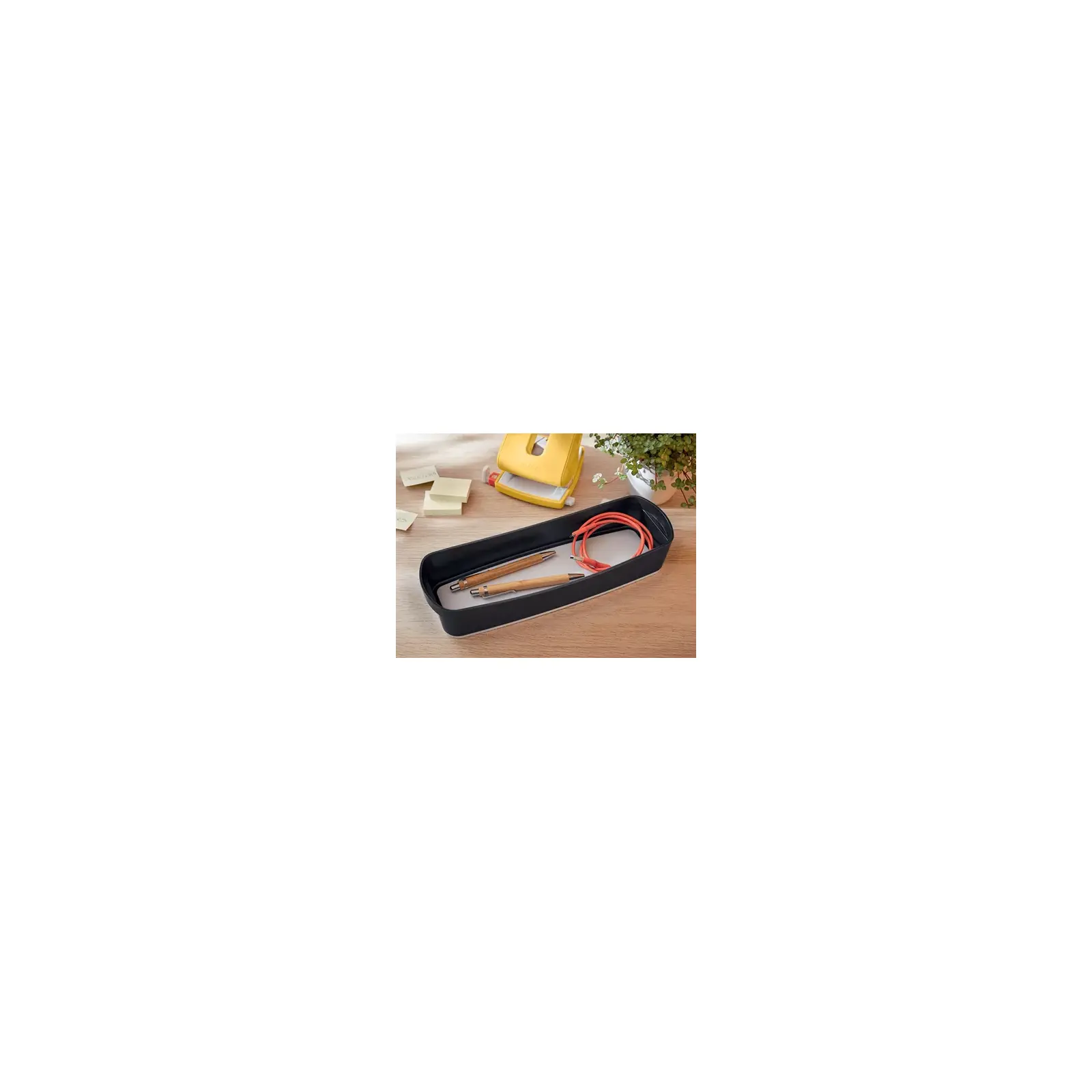 Leitz MyBox 52650089 Photo 3