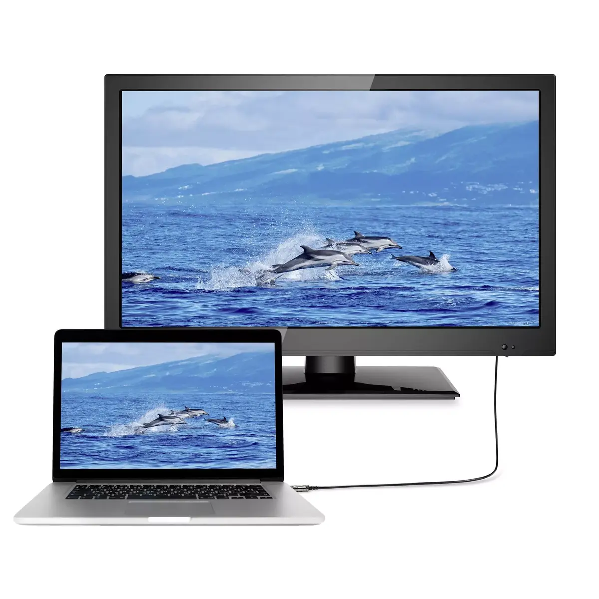 HDMI кабель SpeaKa Professional SP-8821988 Photo 4