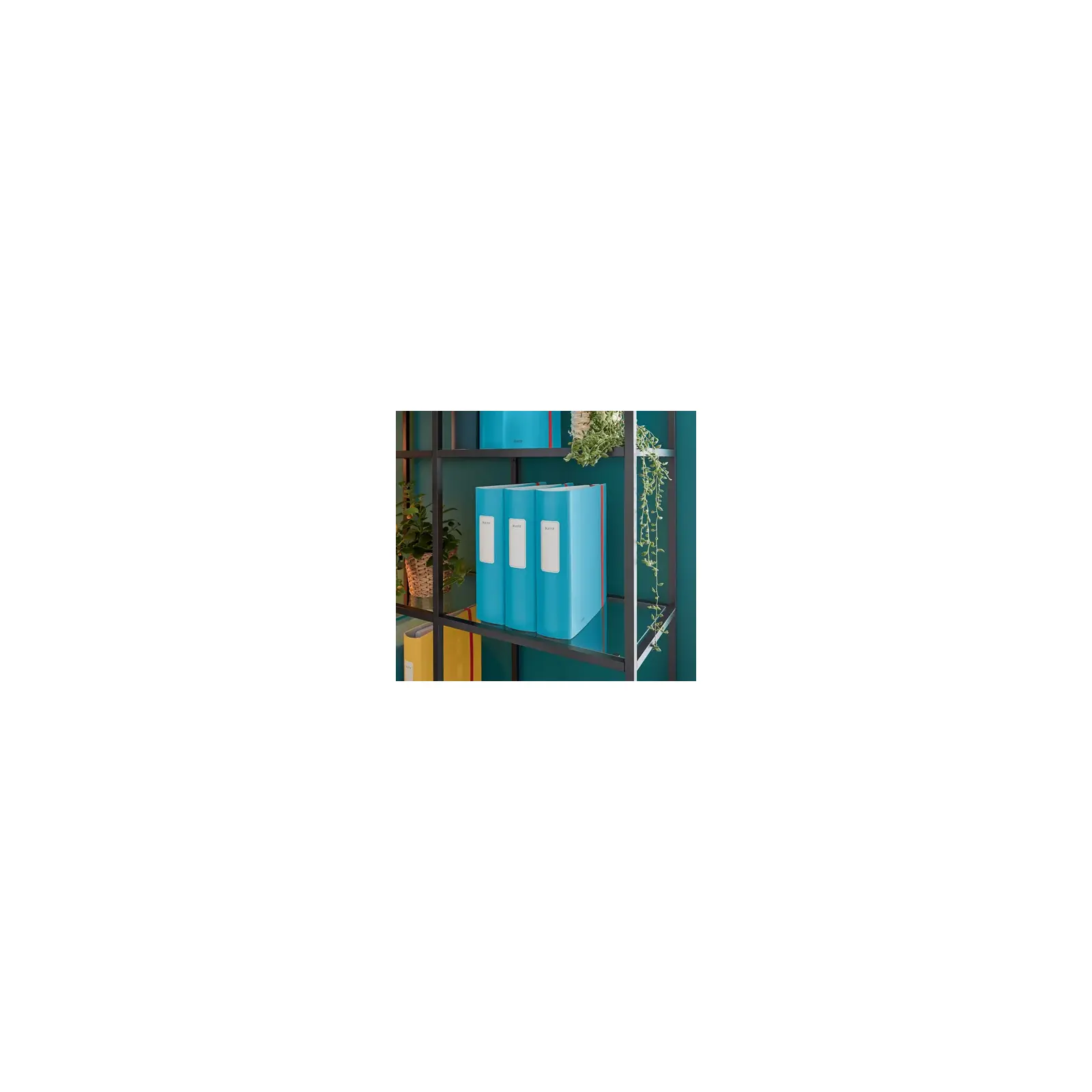 Leitz 10380061 ring binder 10380061 Photo 2