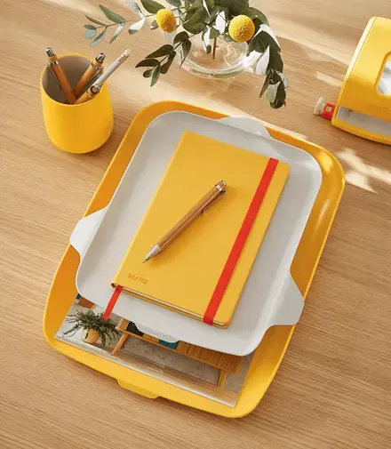 LEITZ Cosy Letter Tray with Desk Organiser Photo 2