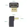 DisplayPort Adaptor InLine 17199U Photo 3
