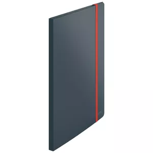Folder LEITZ 46700089 — Polypropylene (PP) drawing folder, A4, 231×310×13 mm, grey
