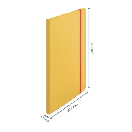 LEITZ 46700019 polypropylene A4 drawing folder Photo 4