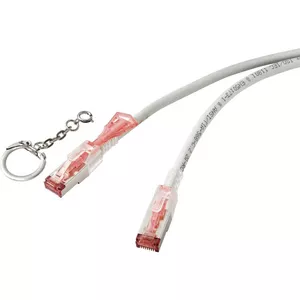 Renkforce RF-4533114 tīkla kabelis Pelēks 1 m Cat6a S/FTP (S-STP)