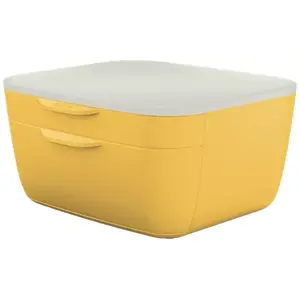 desk tray organizer Leitz 53570019