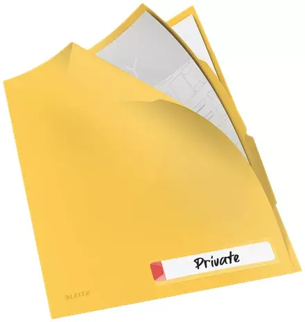 LEITZ 47160019 folder — PP A4 229×313×2 mm Photo 3