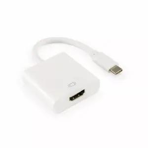 Adapter SBOX HDMI female to USB Type-C male (HDMI F → Type-C M) by SBOX