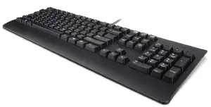 Keyboard Lenovo Preferred Pro II — Full-size USB QWERTY, Danish layout, Black, wrist rest