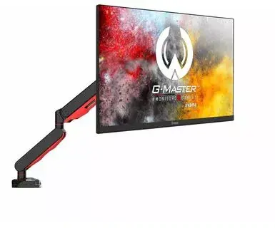 Крепление для монитора iiyama DSG3001C-R1 Photo 2
