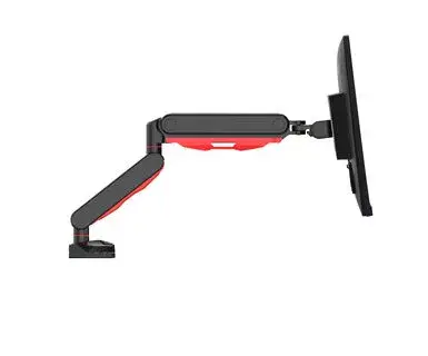 Крепление для монитора iiyama DSG3001C-R1 Photo 3