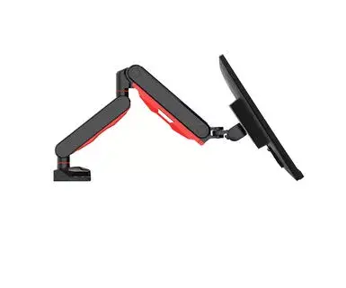 Крепление для монитора iiyama DSG3001C-R1 Photo 4