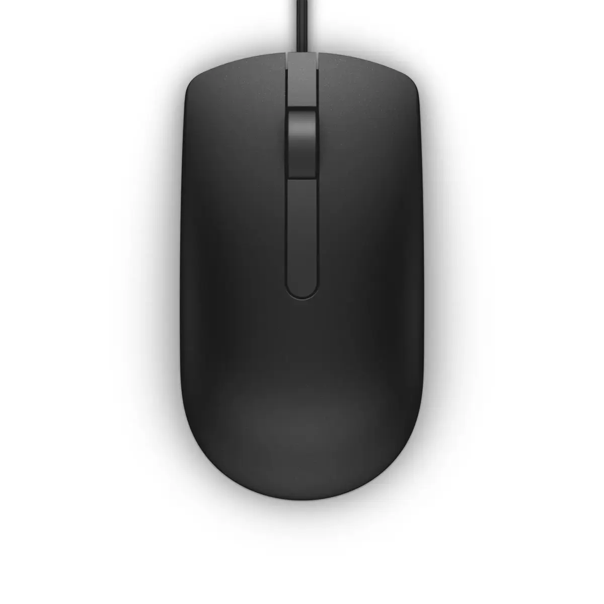 Mouse DELL MS116 Photo 3