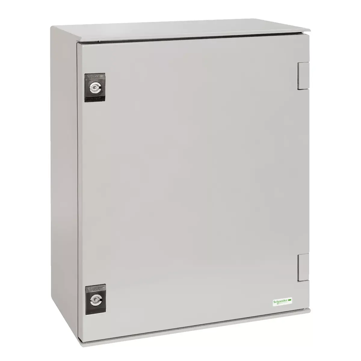 Schneider Electric Thalassa NSYPLM86G poliestera korpuss Photo 2