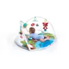 Детский гимнастический комплекс Tiny Love Gymini Dynamic Meadow Days Photo 7