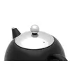Single teapot Bredemeijer Minuet Santhee Photo 2