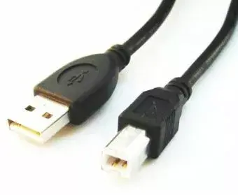 GEMBIRD CCP-USB2-AMBM-6 8716309041973 Photo 4
