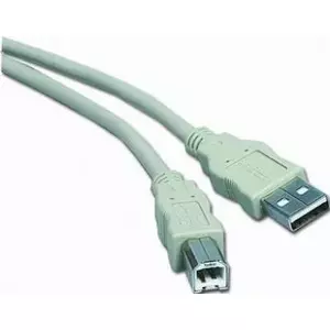 USB cable Gembird CC-USB2-AMBM-6 1.82 m USB A USB B