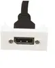 Модуль DisplayPort Garbot F22 Photo 2