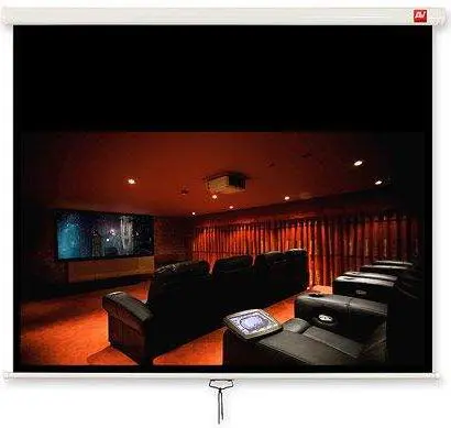 AVTEK Video 175 Projection Screen Photo 2
