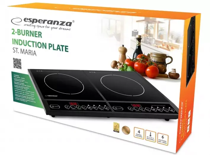 Индукционная варочная панель ESPERANZA EKH008 Photo 2