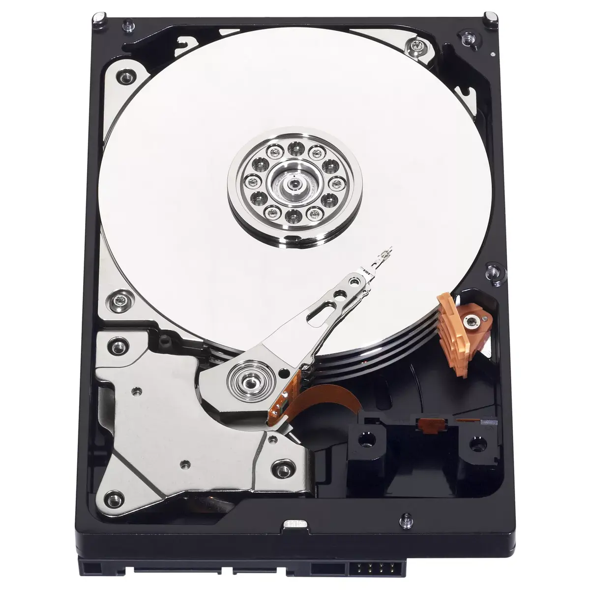 HDD Western Digital Blue 500GB WD5000AZLX Photo 5