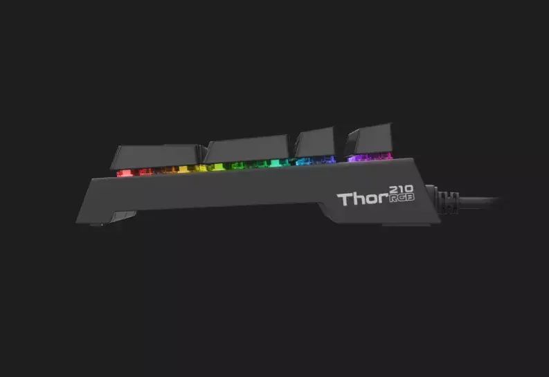 Genesis THOR 210 RGB механическая игровая клавиатура Photo 3