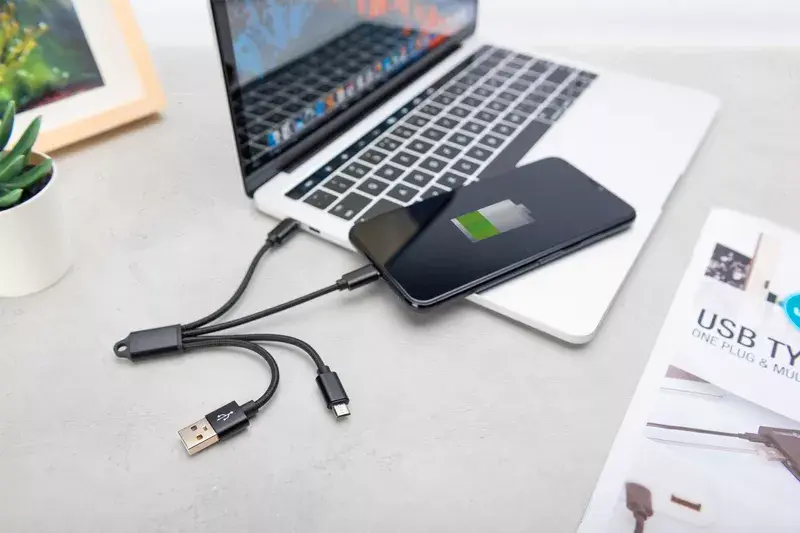 USB кабель ASSMANN Electronic DB-300160-002-S Photo 3