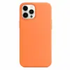 Riff Back Cover Case for iPhone 12 Mini Photo 2
