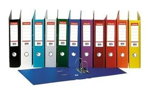 Ring binder Esselte 811520 A4 Bordeaux