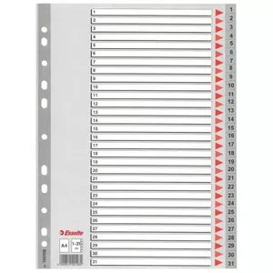 Plastic indexes Esselte 100108